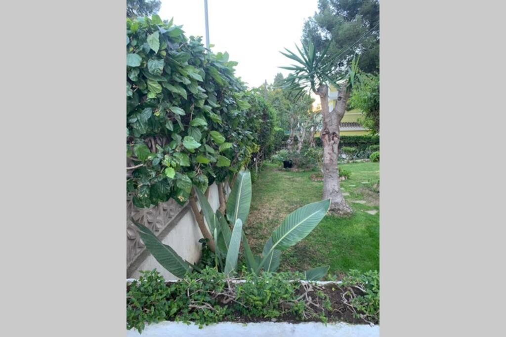 Apartamento La Dorada Torremolinos Kültér fotó